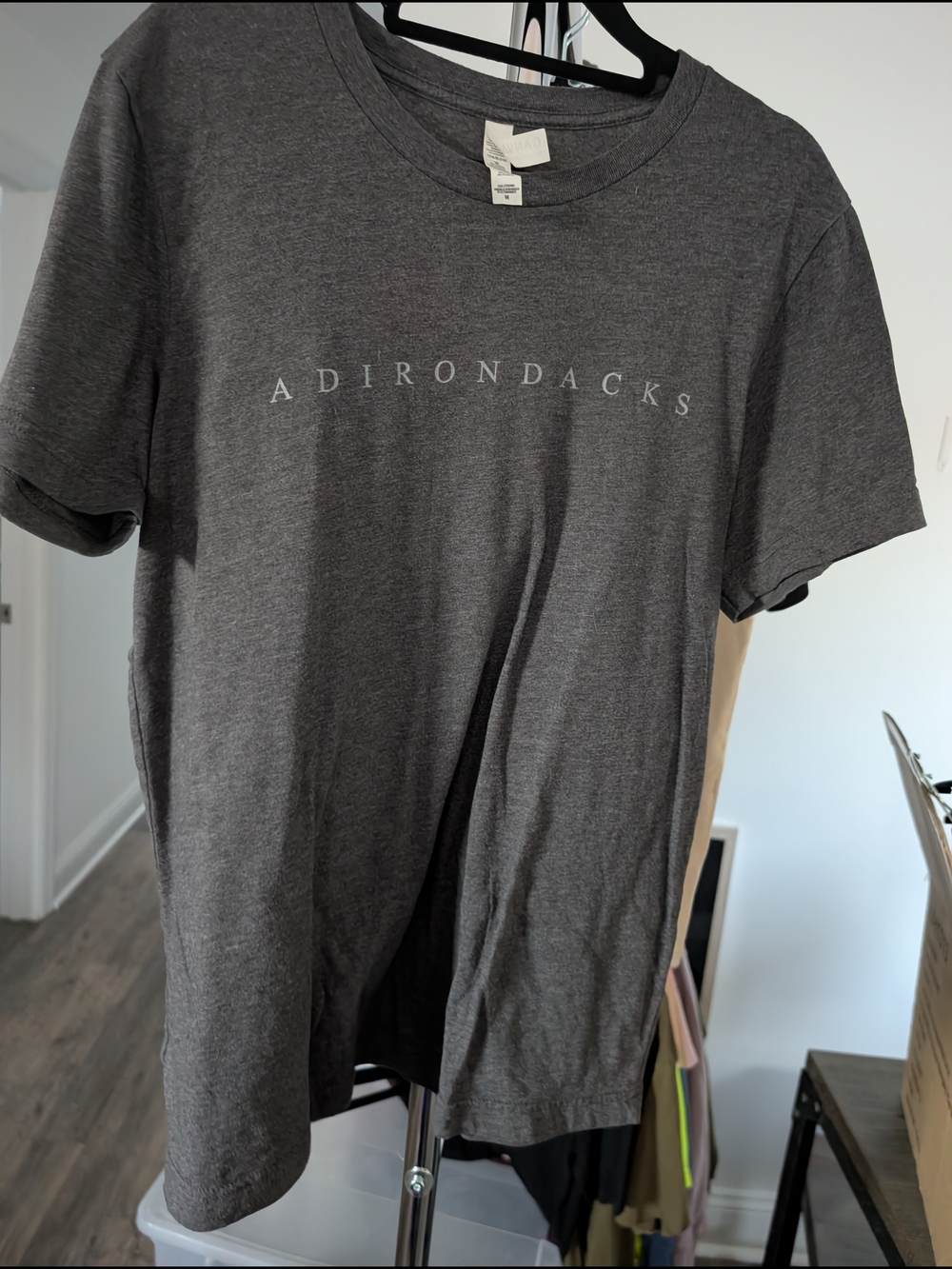 Men's Gray Graphic Tee
